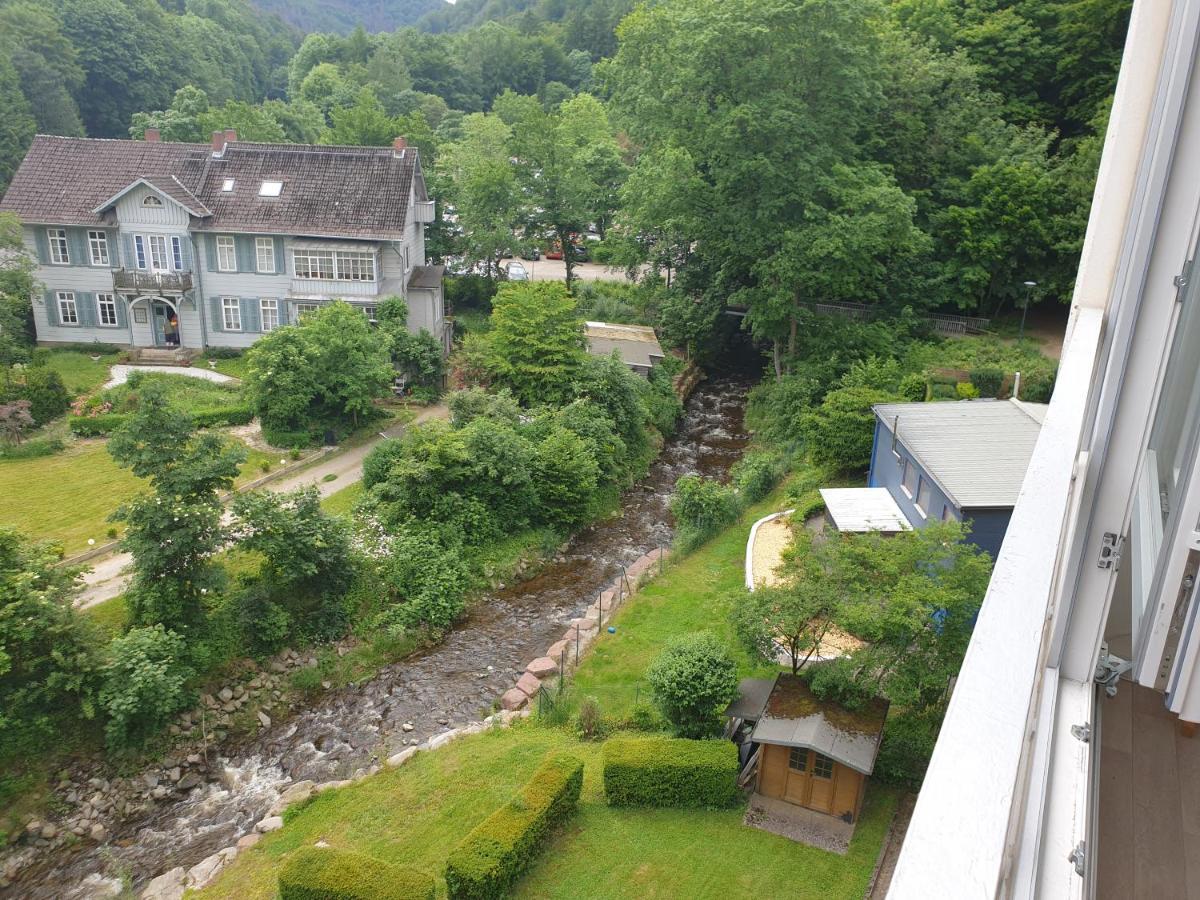 Apartz - Bad Harzburg - Apartment Mit Sauna In Idealer Lage Mit Bergblick Bagian luar foto