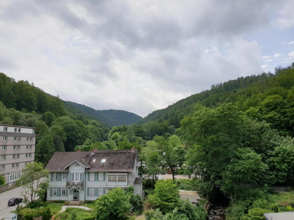 Apartz - Bad Harzburg - Apartment Mit Sauna In Idealer Lage Mit Bergblick Bagian luar foto